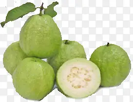 ����ˮ��ʳ������-������