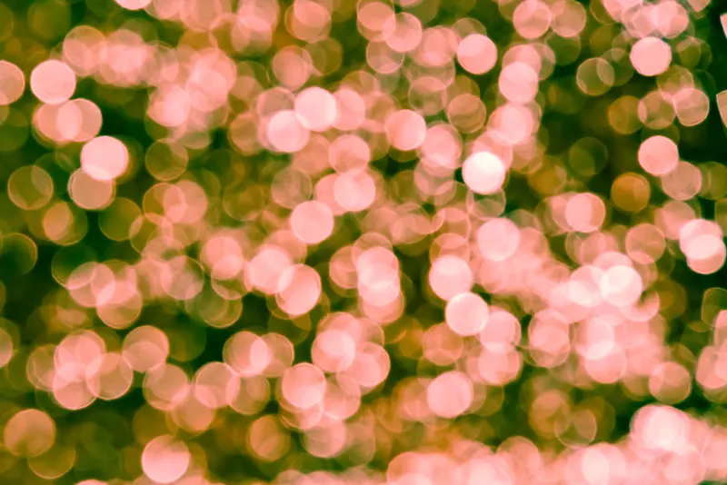 ���̹�߱���-������