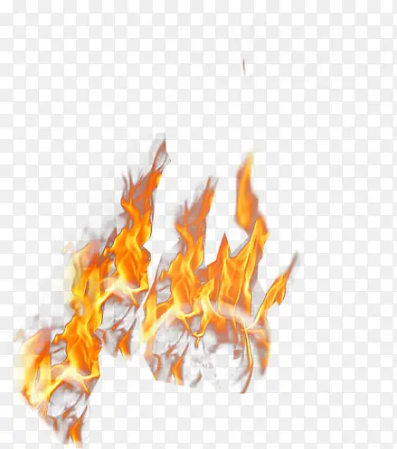 ��ɫ�����Ա�����-������