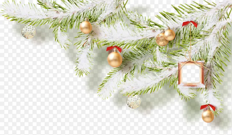 ʥ����װ��Ʒ-������