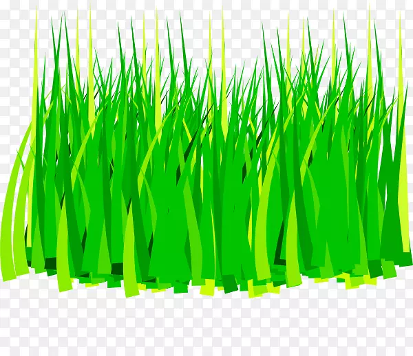 �������޲ݼ�����-������