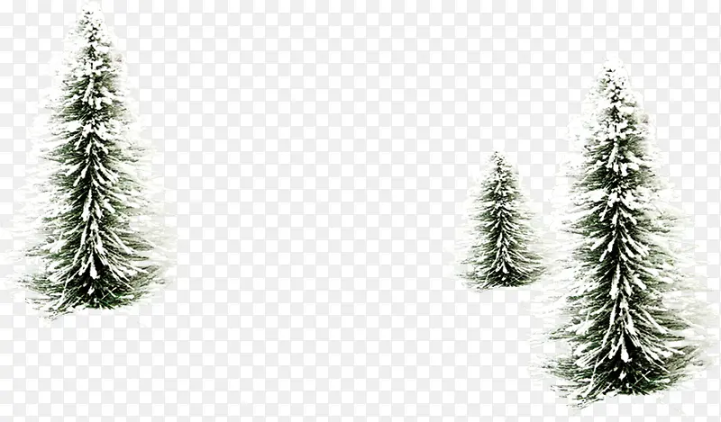 ������ɫ��ʥ����-������