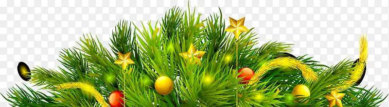 ��ɫ���������Ӱʥ����-������