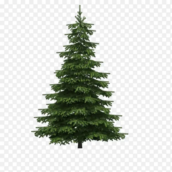 ʥ������-������