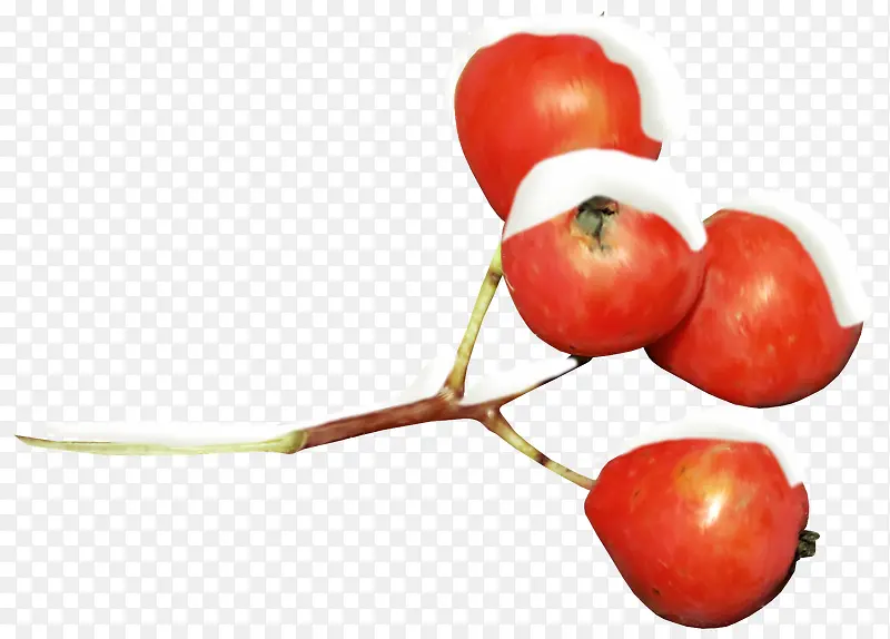 ������֦-������