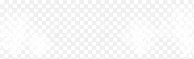 ��ɫѩ��֦-������