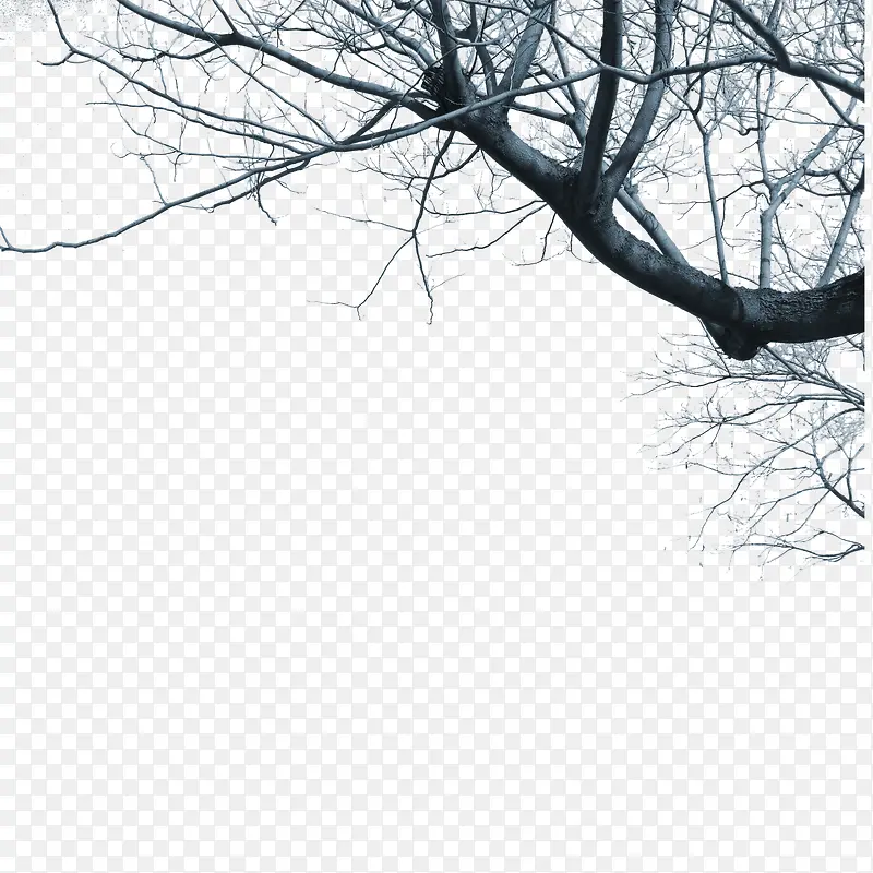 �������֦-������