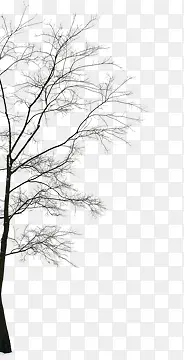 ��-������