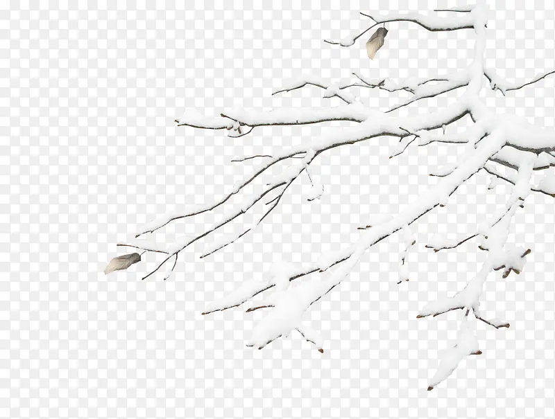 ѩ��-������