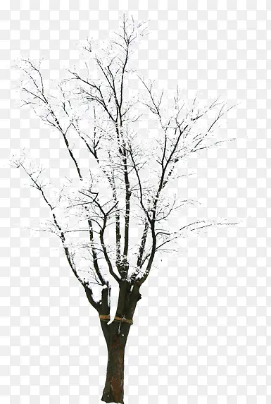 ��-������