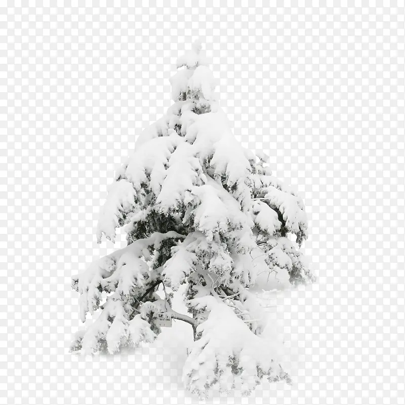 ��-������