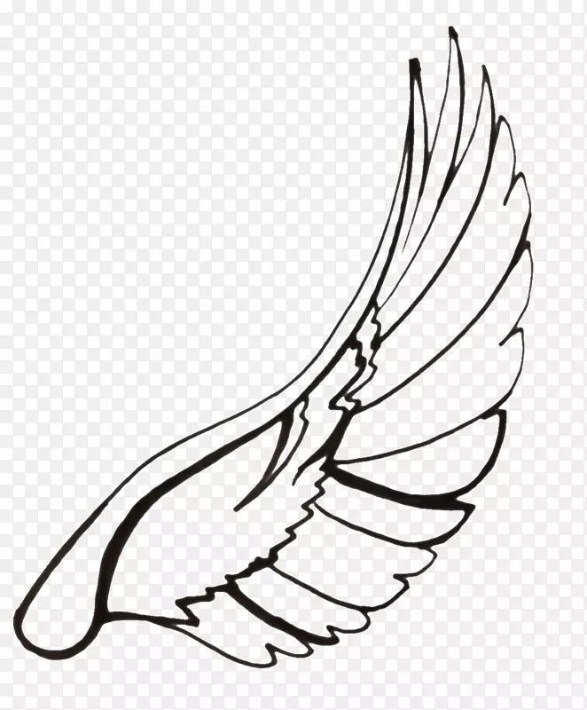 �ڻ������������������-������