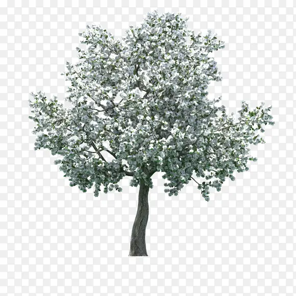 ���崴ҵ��Ӱ�������ľ-������