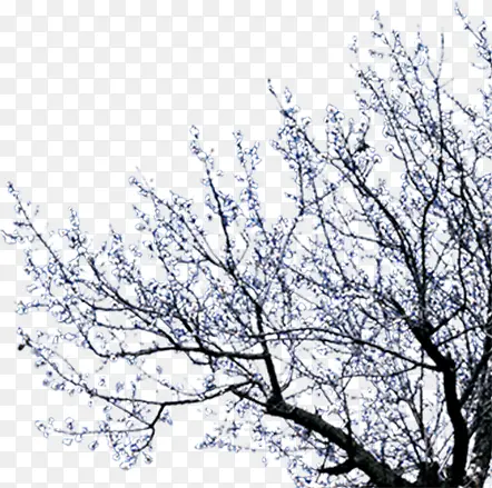 ������Ӱ�������ľЧ��-������