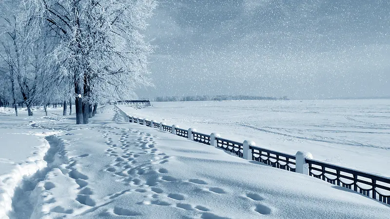 ������Ӱ�������ľ�����ϳ�-������