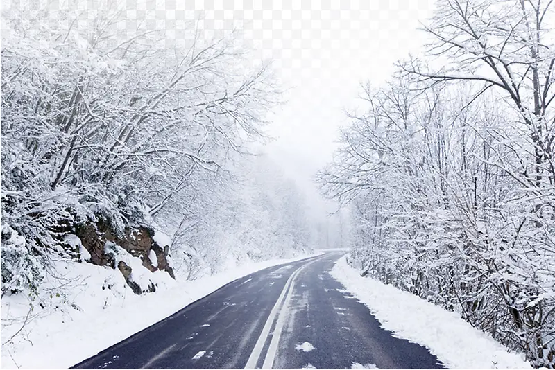 ������Ӱ����ɭ��-������