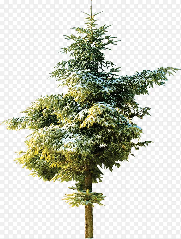 ������Ӱ�������ľ����-������