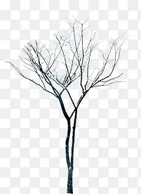 ������Ӱ����Ĵ���-������