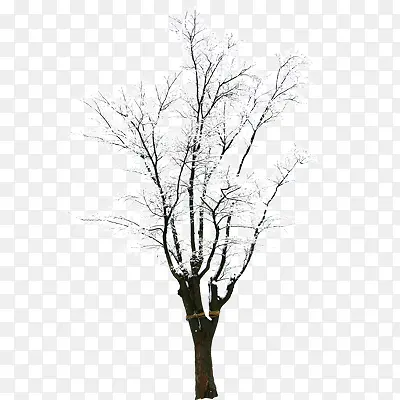 ѧ��-������