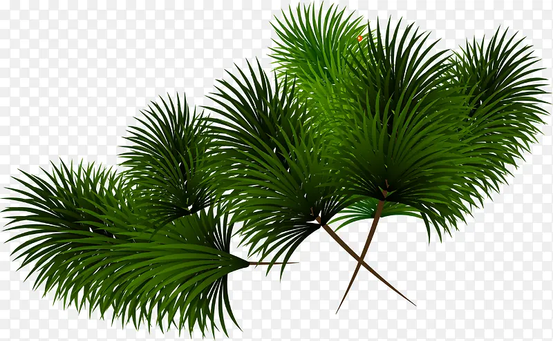 ������Ӱ��ɫ������Ҷ-������