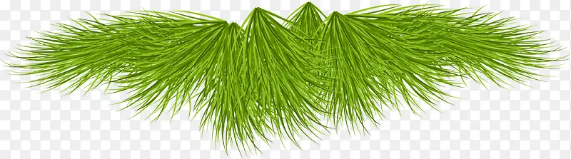 ʥ������ɫ��Ҷ-������