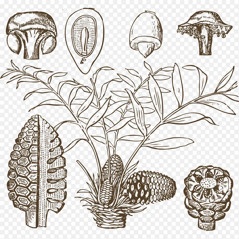 �ֻ����Ҷ-������