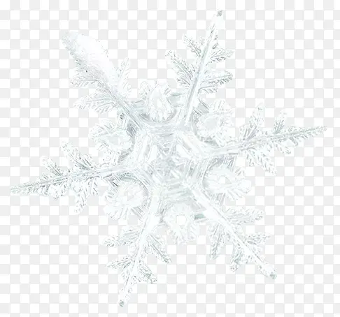 ��ɫ��ѩ��-������