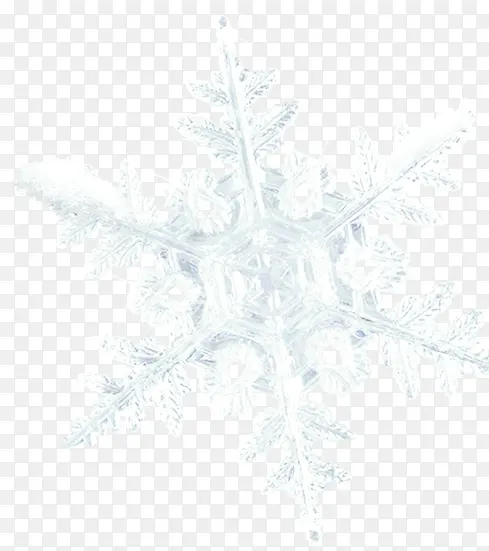 ���մ����ɫѩ��-������