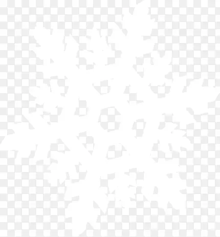 �ֻ涬����ɫѩ��-������