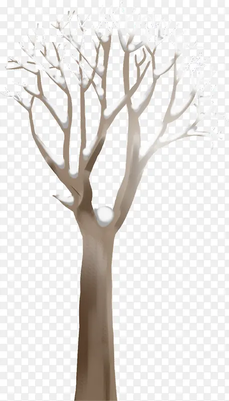 �ֻ涬��ʥ����ѩ����֦-������