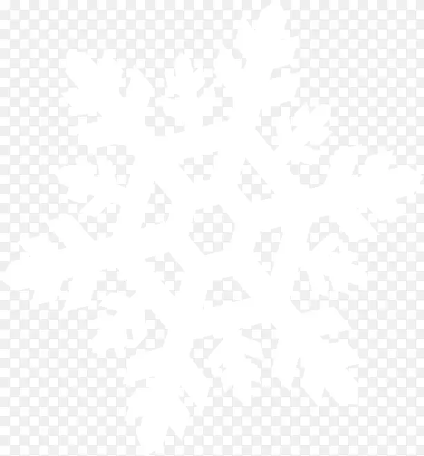 ��ɫΨ����ͨѩ��-������