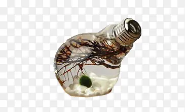 ����ƿ  ����  װ����-������