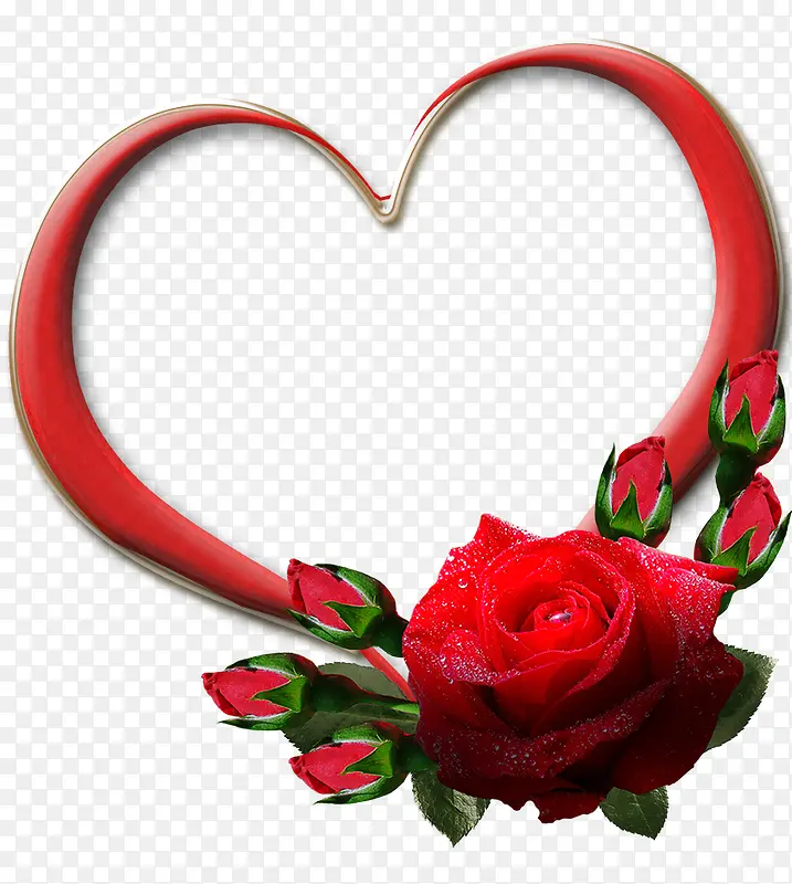 ���ĺ�õ��-������