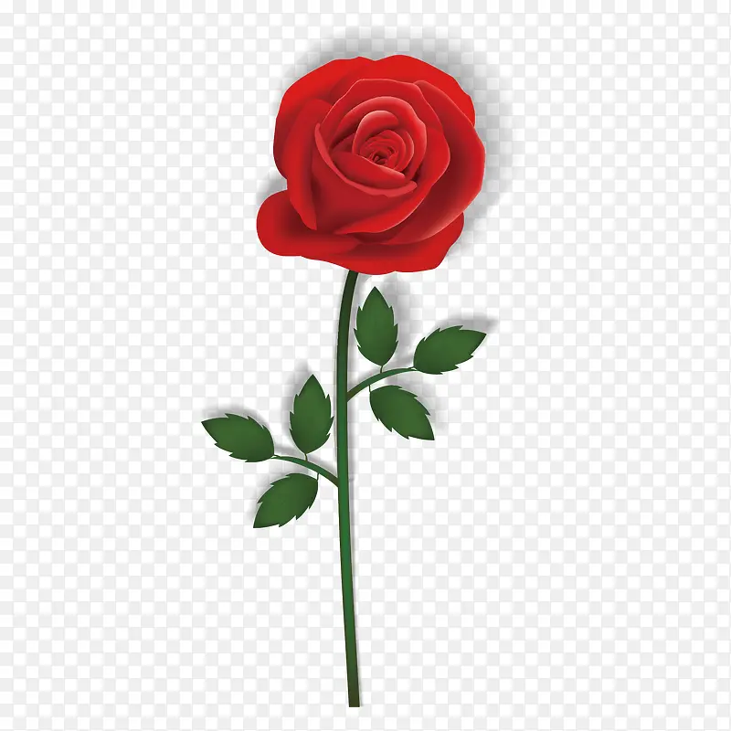 һֱõ�廨ʸ���ز�-������