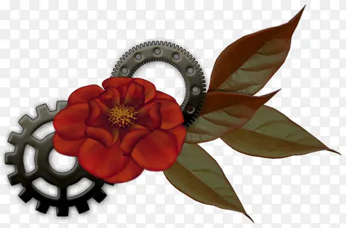 ������Ӱ���ź�ɫõ�廨-������