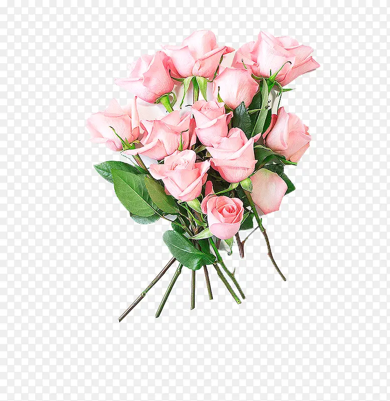 ������Ӱ����ϳɺ�ɫ��õ�廨-������