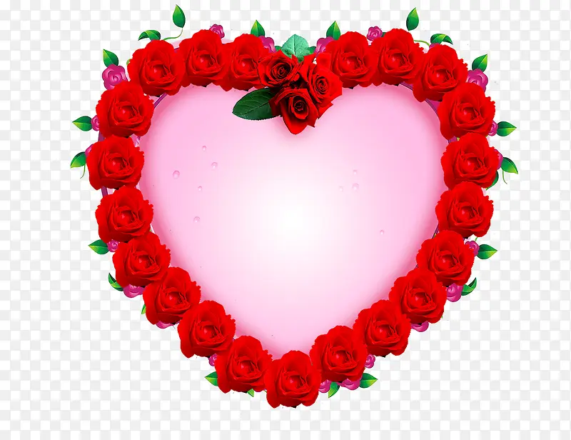 õ�廨���ĺ�����ɫ-������