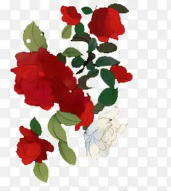 ˮ�ʺ�ɫõ�廨����-������