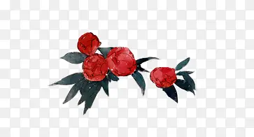 ˮ�ʺ�ɫõ�廨-������