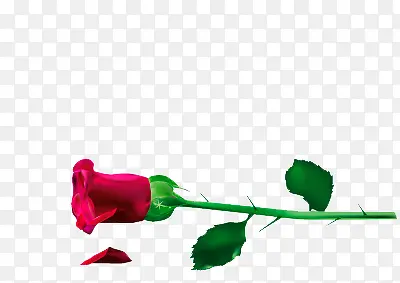 ��õ��-������