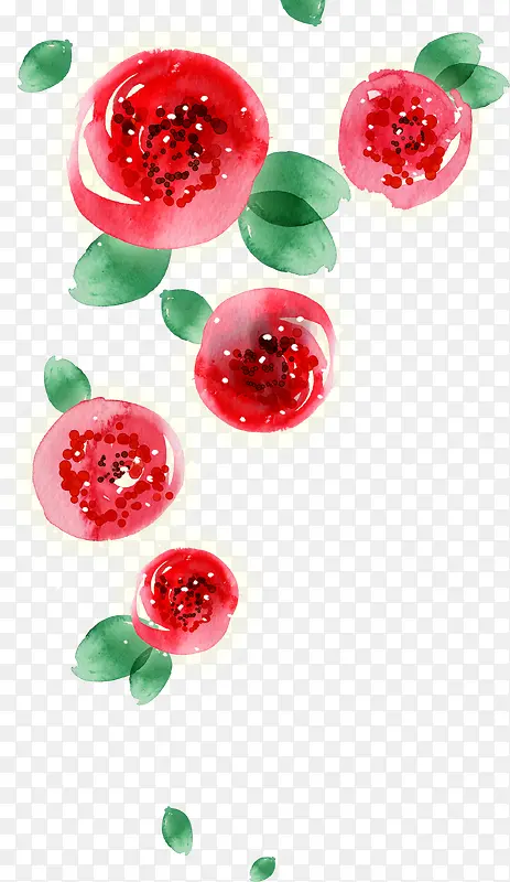 �����ɫˮ��õ��-������