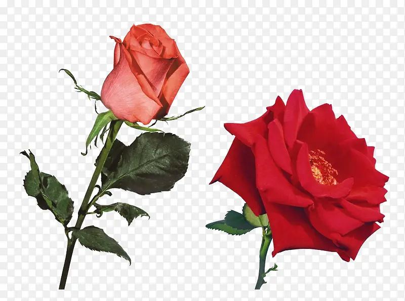 ʵ��õ��-������