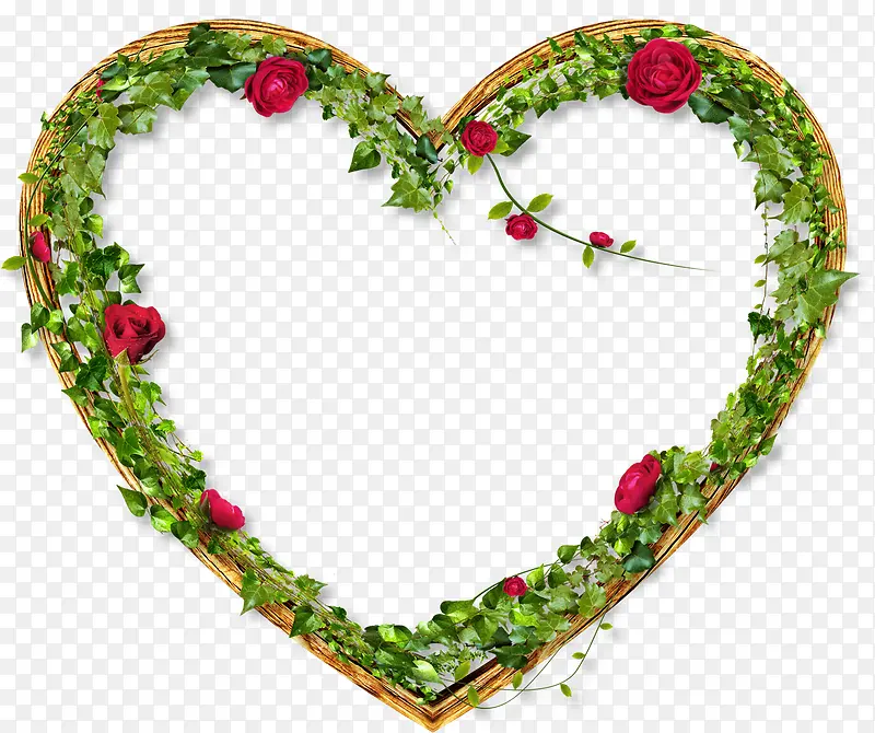 ������Ҷ��õ�尮��-������