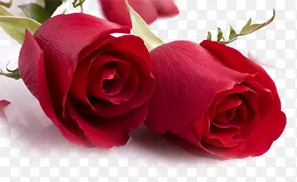 õ��-������