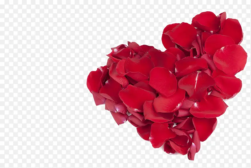 ��ɫ����õ��-������