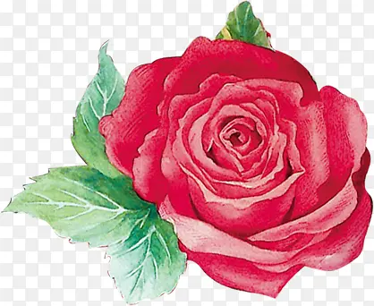 �ֻ�ۺ�ɫˮ��õ��-������