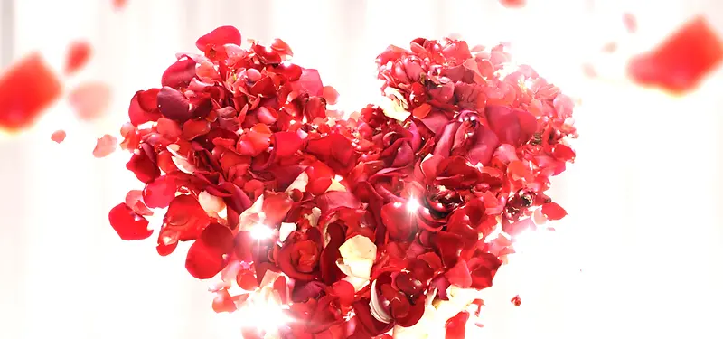 ����õ�屳��-������