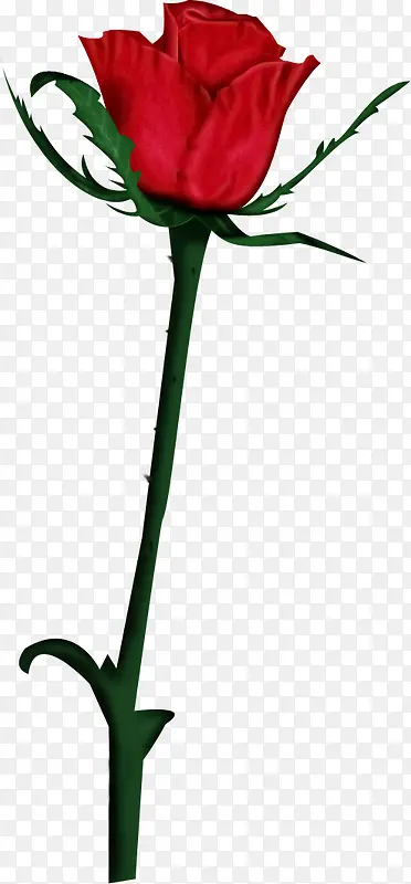 ��ɫ��ͨõ�尮��-������