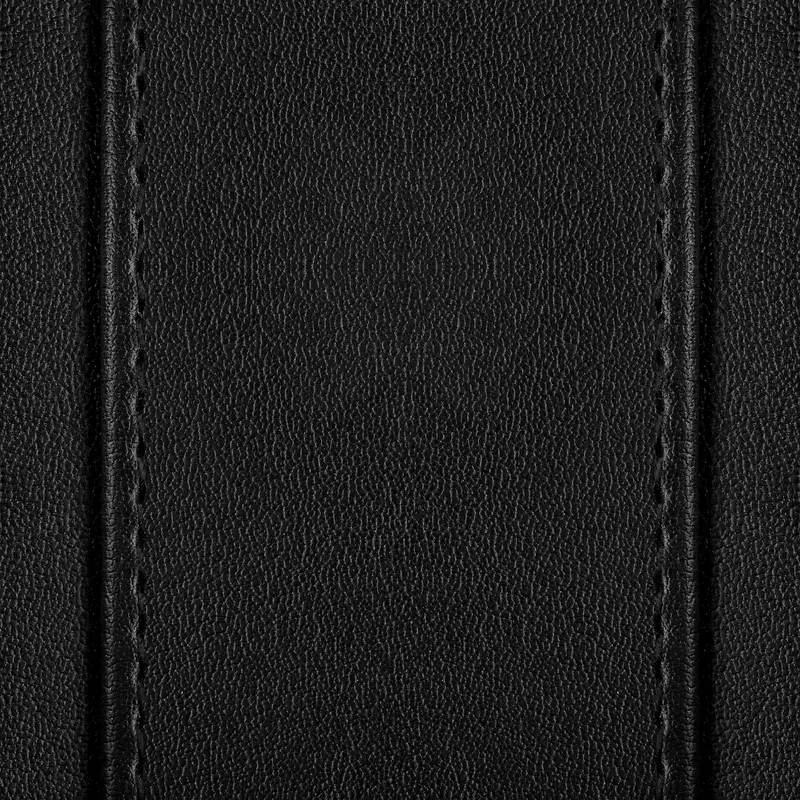 Ƥ�ﱳ������-������