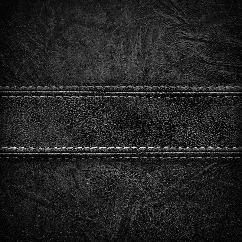 Ƥ�ﱳ������ͼ-������